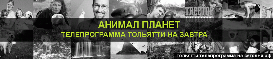 Телепрограмма на завтра канала Анимал Планет, Тольятти