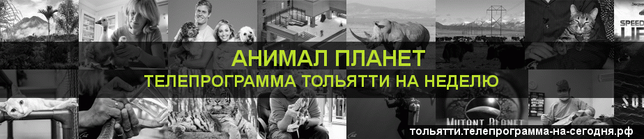 Телепрограмма на неделю канала Анимал Планет, Тольятти